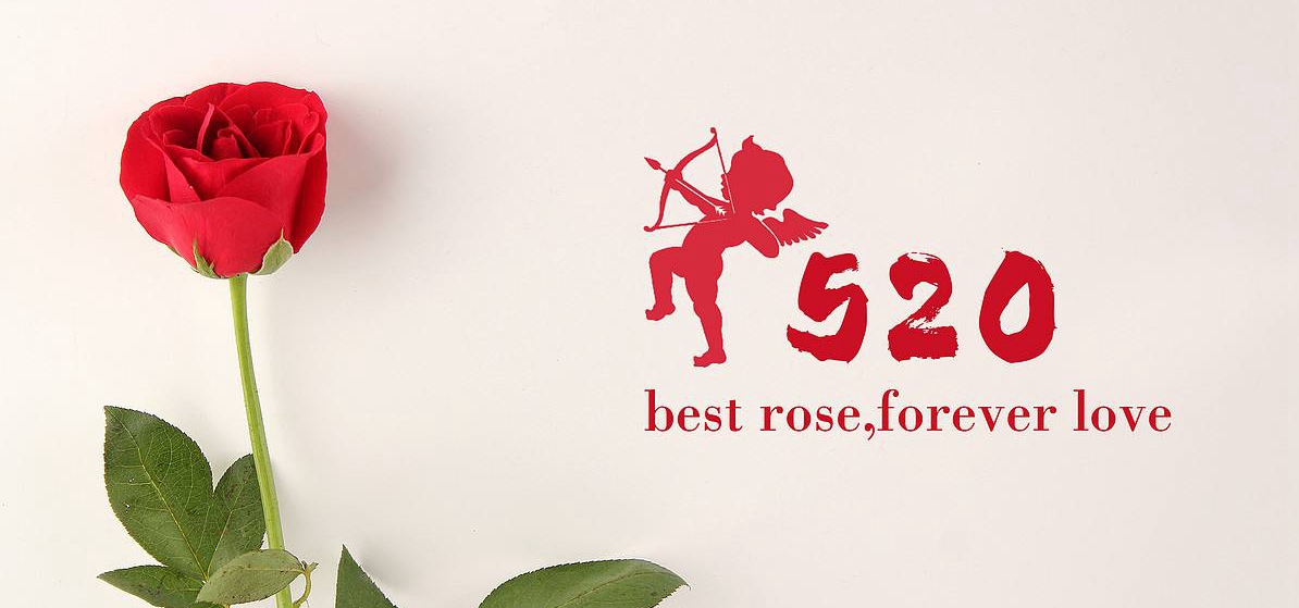 520游戏合集