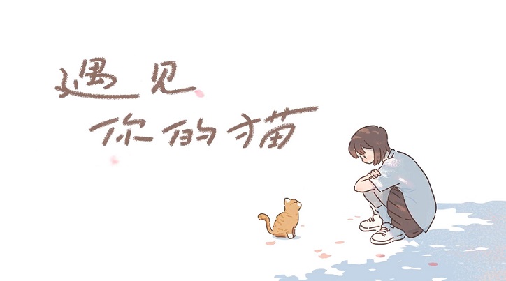 遇见你的猫游戏版本大全