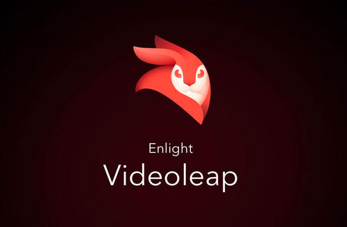 Videoleap专区