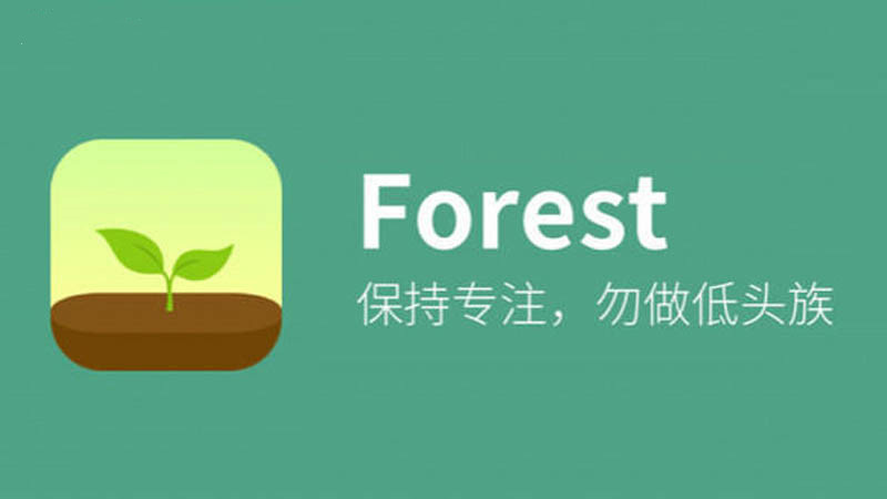 专注软件大全