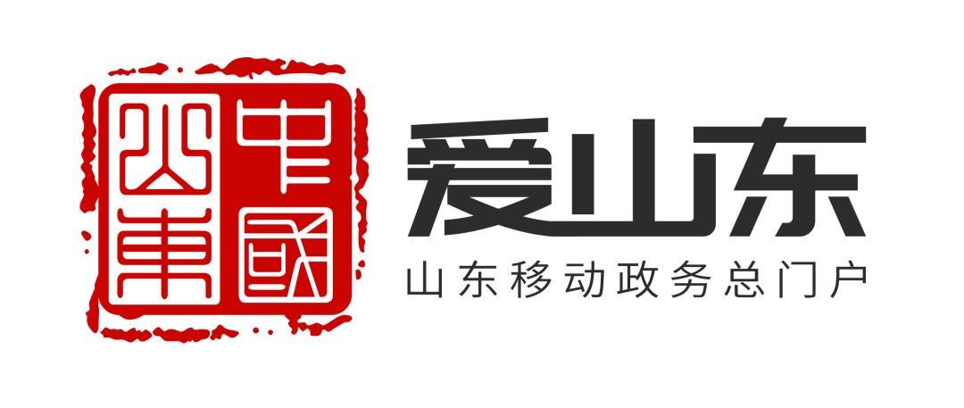 爱山东容沂办app大全