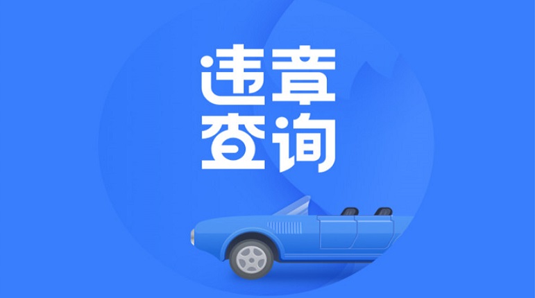 违章查询app合集