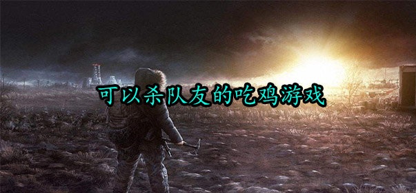 可以杀队友的游戏合集