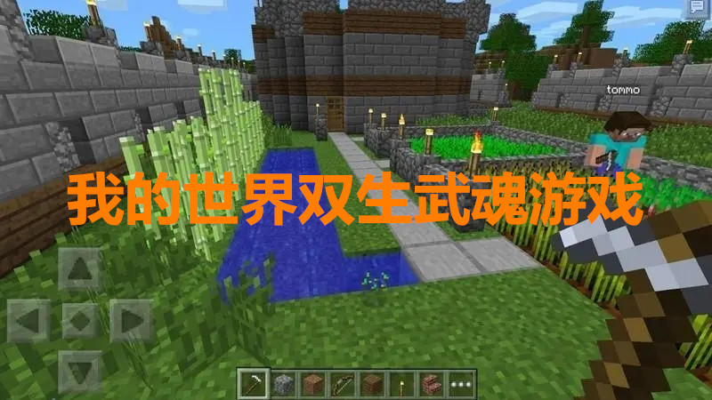 我的世界双生武魂游戏合集