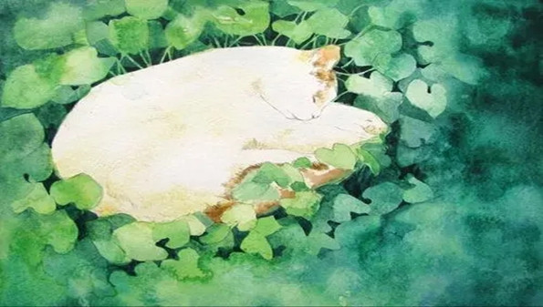 养了个猫游戏app大全
