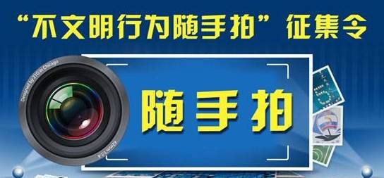 随手拍app合集