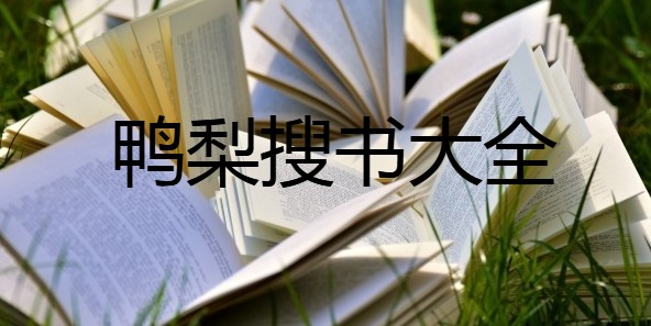 鸭梨搜书大全