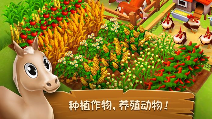 全民农家乐游戏合集