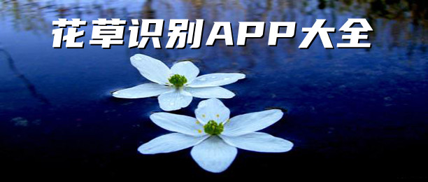 花草识别app大全