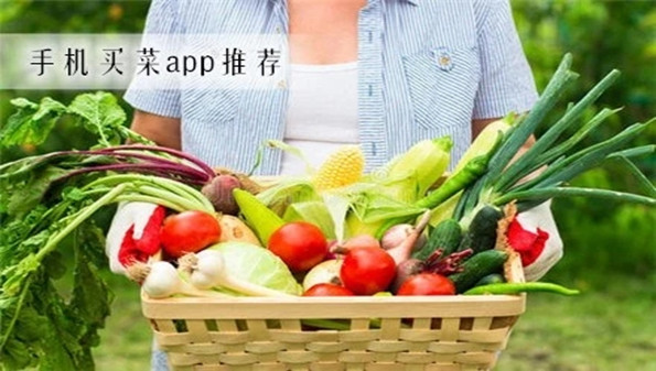 买菜团购app合集
