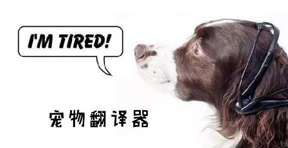 宠物翻译软件合集