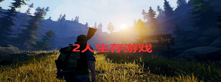 2人生存游戏合集