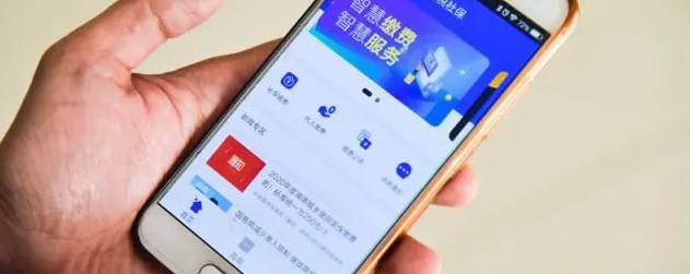 12366农村合作医疗缴费合集