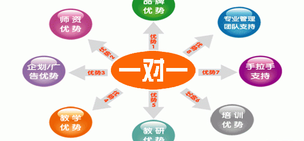 一对一辅导软件大全