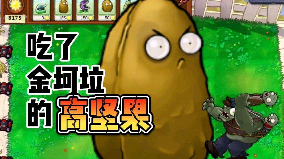 金坷垃系列版本合集