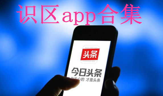 识区app合集