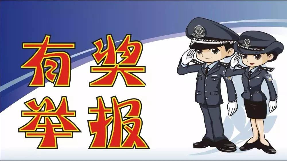 2022高速违章举报app合集