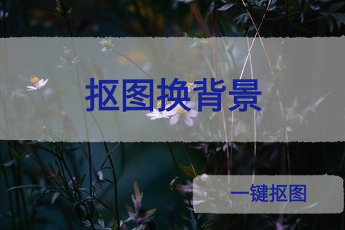 抠图换背景app合集