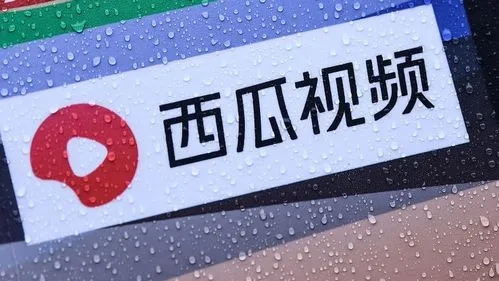 2022西瓜视频软件合集
