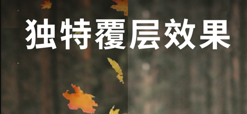 Motionleap软件合集