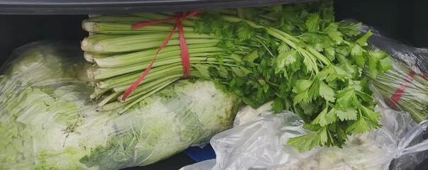 济南买菜app合集