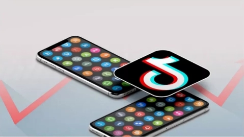 抖音大众评审员app合集