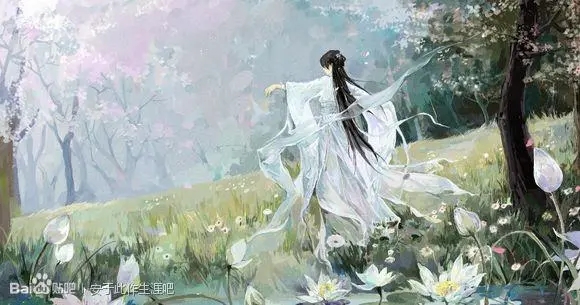 追小说免费的软件合集