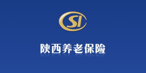 2022陕西养老保险app合集