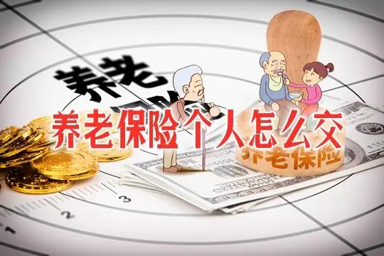个人交养老保险缴费app合集