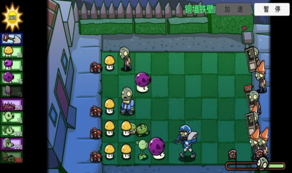 PVZ_BT武装小种子合集