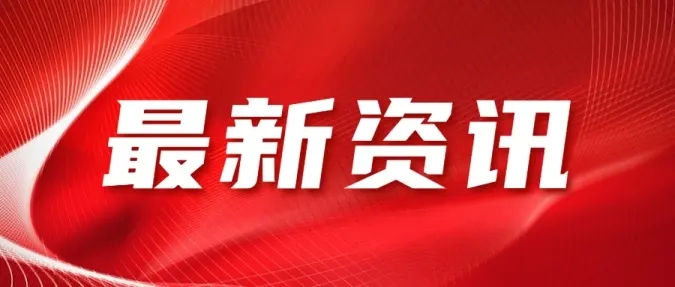 大字版新闻app合集