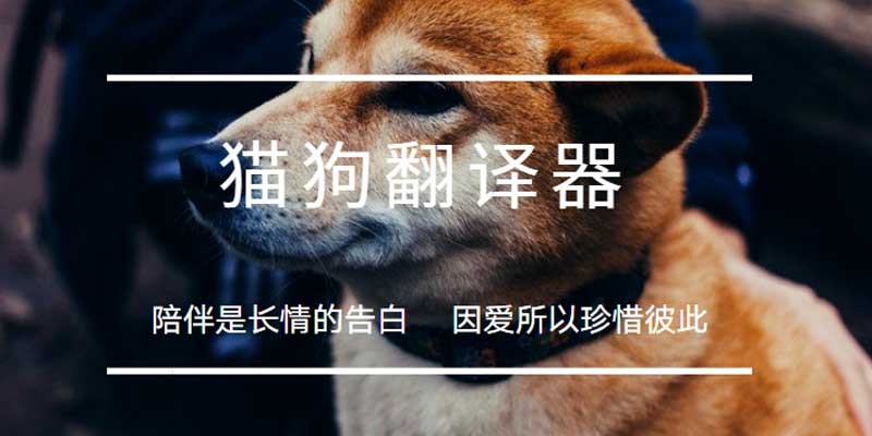 猫狗翻译软件大全