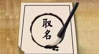 免费取名软件大全