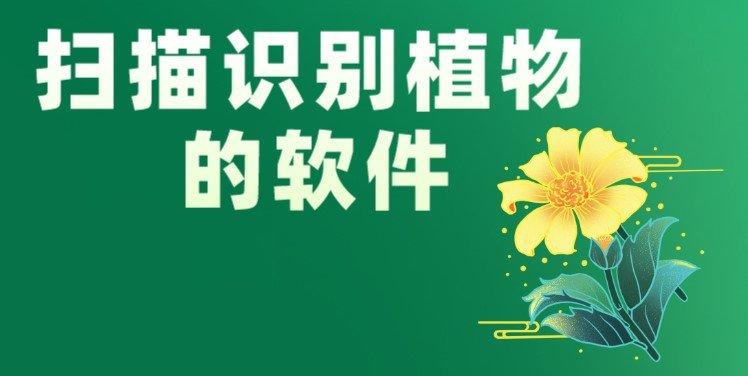 2022识别花草树木的软件合集