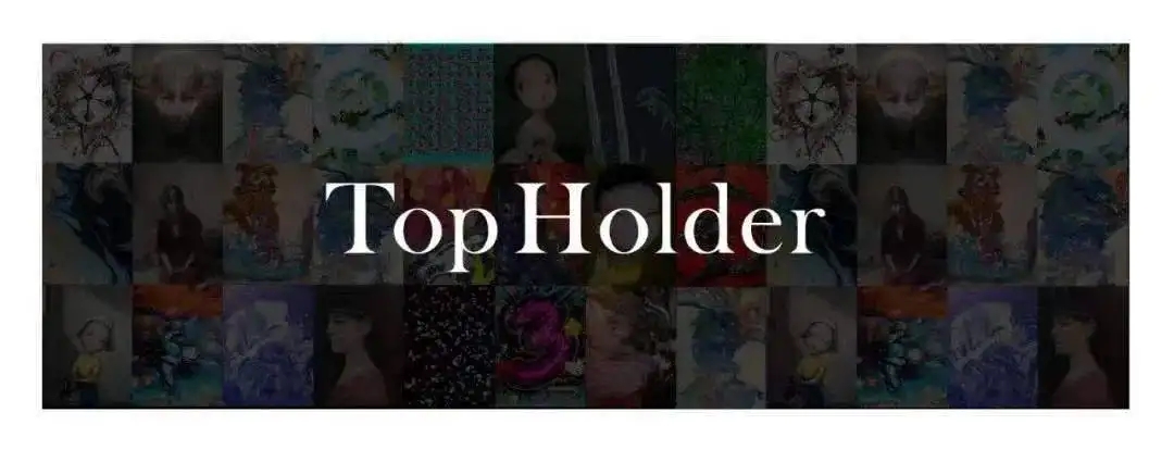 TopHolder头号藏家app合集