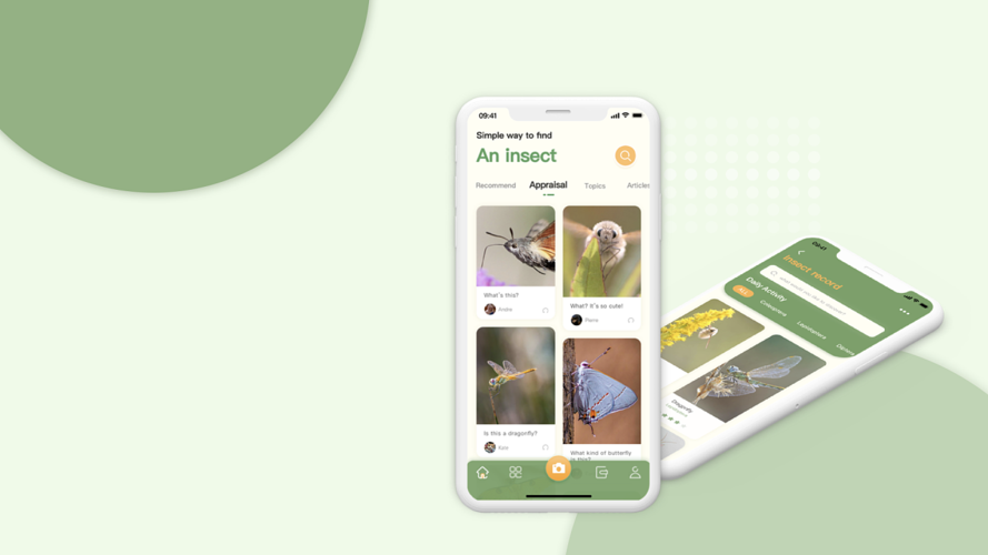 2022识别虫子的APP合集
