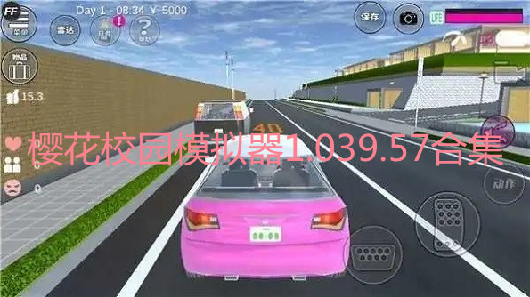 樱花校园模拟器1.039.57合集