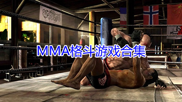 MMA格斗游戏合集