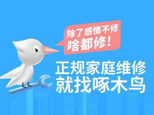 啄木鸟维修app合集