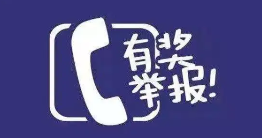 道路违法举报软件合集