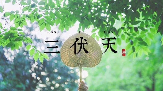 2022三伏天天气查询软件合集