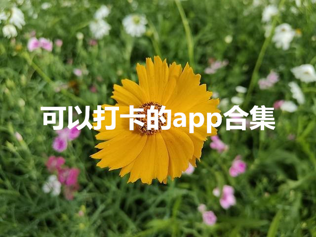 可以打卡的app合集