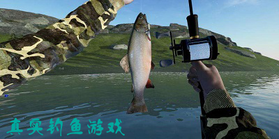 真实钓鱼游戏合集