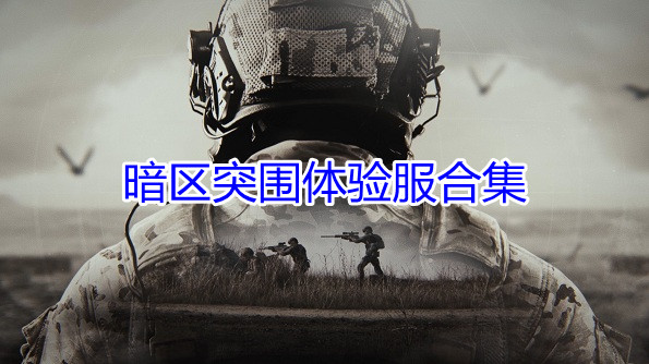 暗区突围体验服合集
