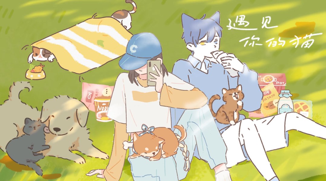 遇见你的猫官方正版合集