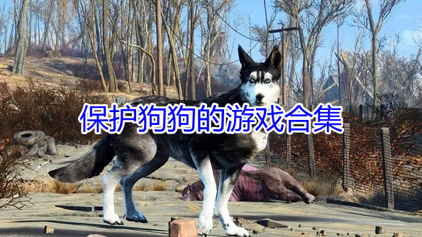 保护狗狗的游戏合集