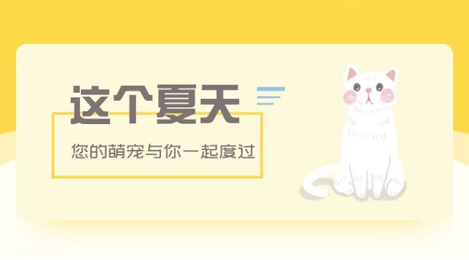 养宠交流平台大全