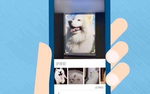 扫描图片找原图的软件大全