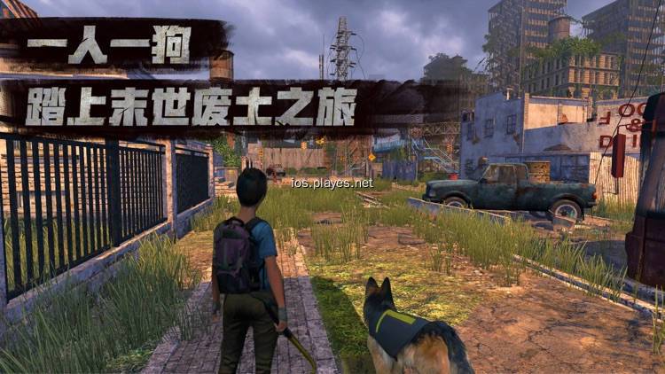 开局一条狗的末日游戏合集