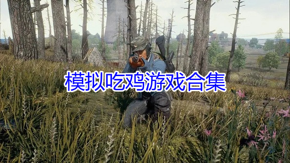 模拟吃鸡游戏合集